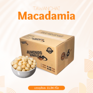 เม็ดมะม่วงหิมพานต์