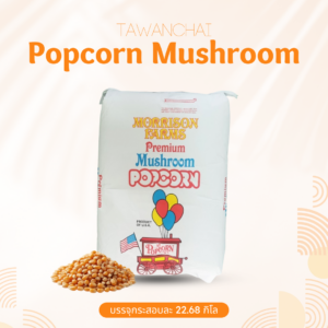 เมล็ดข้าวโพด